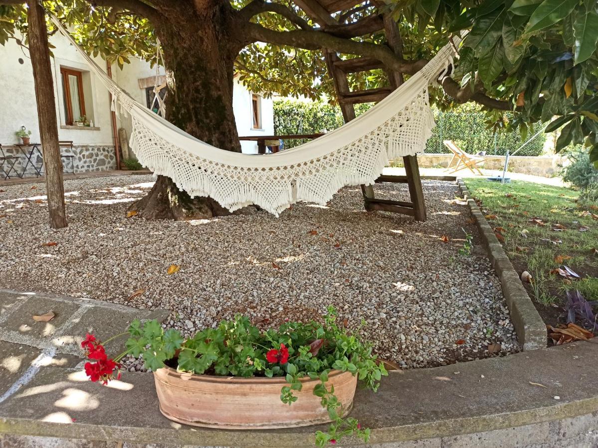 B&B Sole Mio Velletri Dış mekan fotoğraf