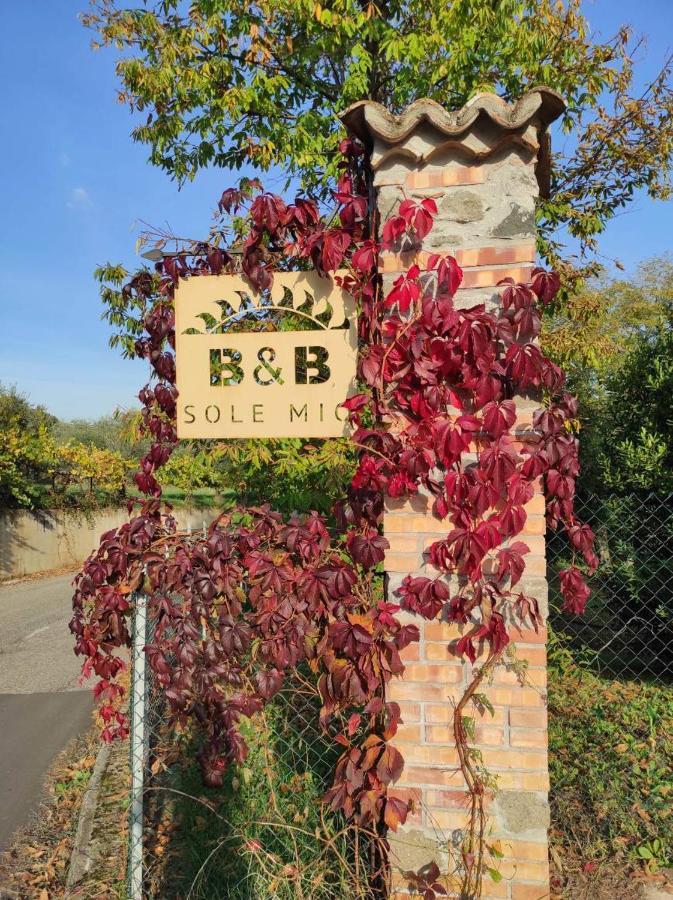 B&B Sole Mio Velletri Dış mekan fotoğraf