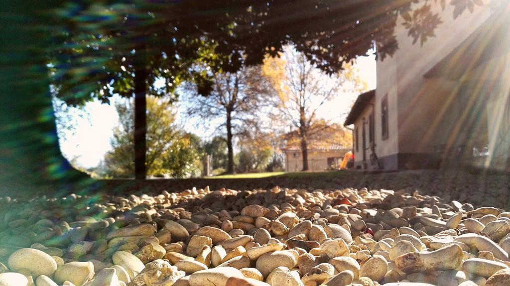 B&B Sole Mio Velletri Dış mekan fotoğraf