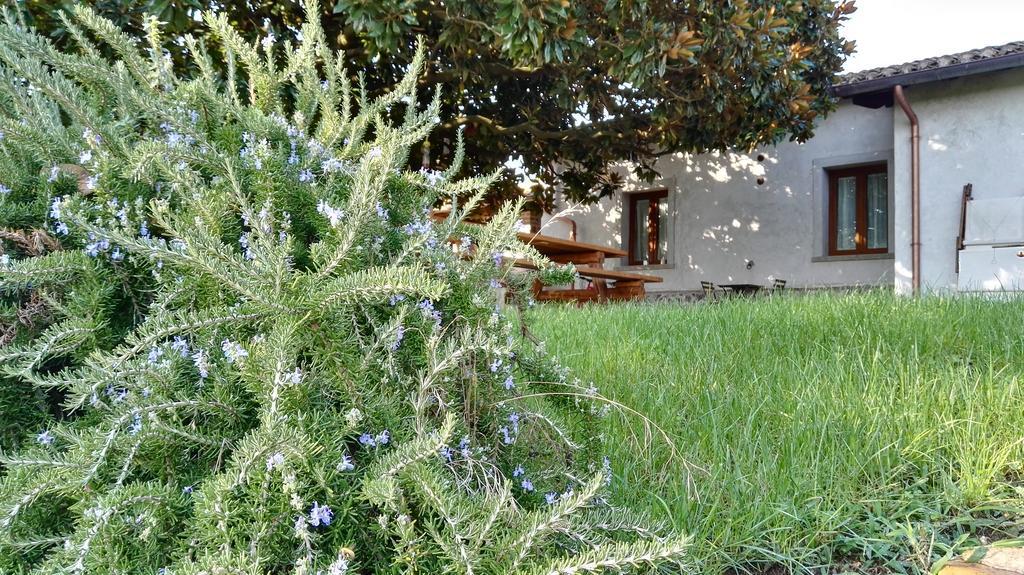 B&B Sole Mio Velletri Dış mekan fotoğraf